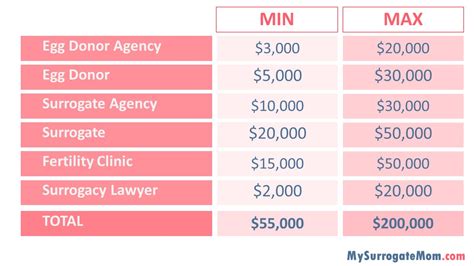 surrogatmamma usa kostnad|The Average Cost of Surrogacy